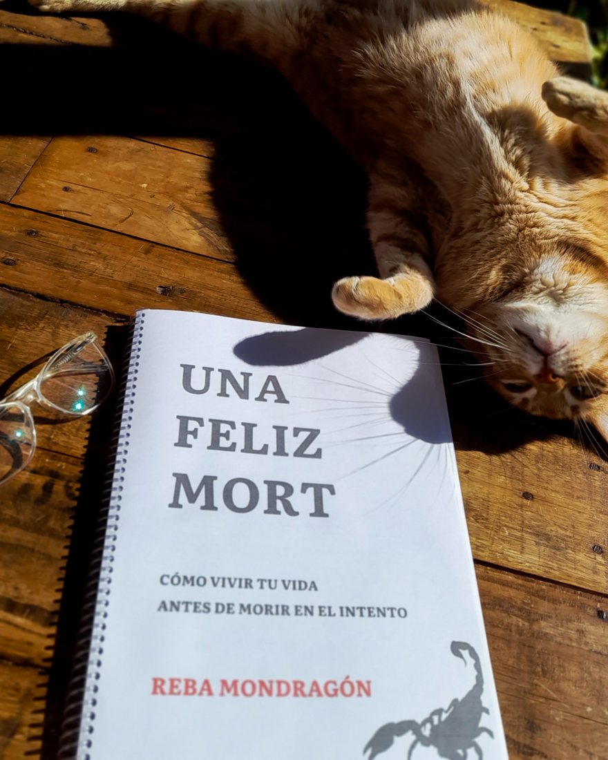 El libro impreso y anillado sobre una mesa de madera